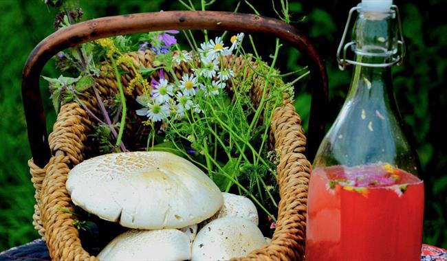 Basket of foraged foods