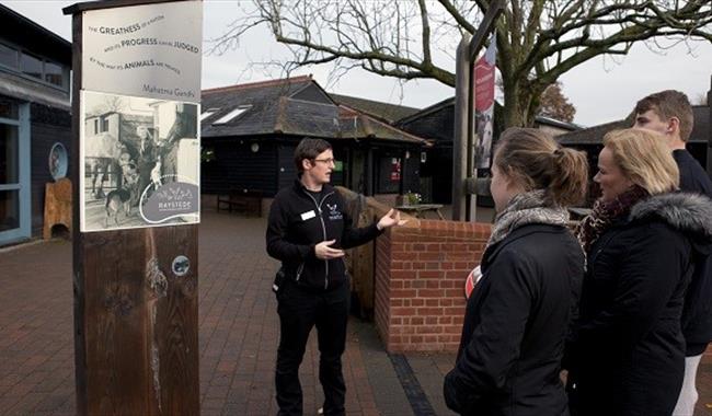 Raystede Animal Sanctuary - Free Guided Tours, 11am Daily