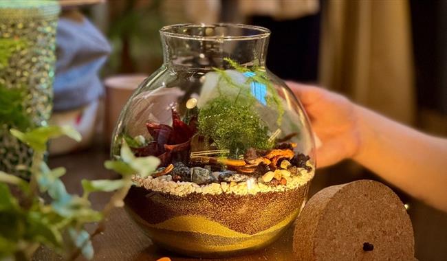 Rainforest terrarium with led light fitting