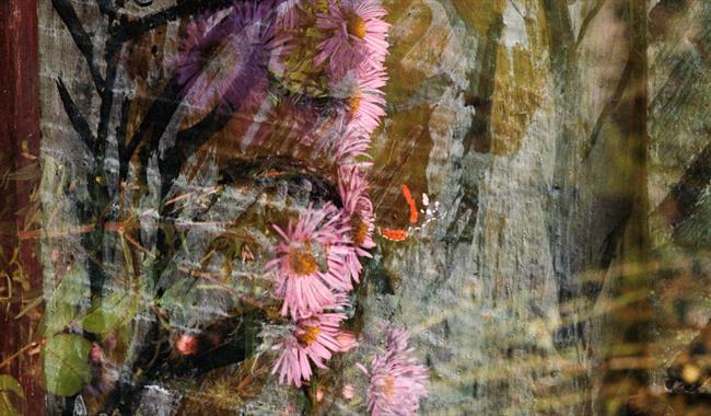 Flowers against flint wall image
