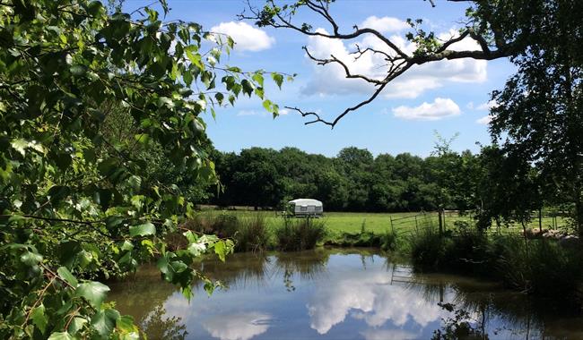 Beeches Place Farm