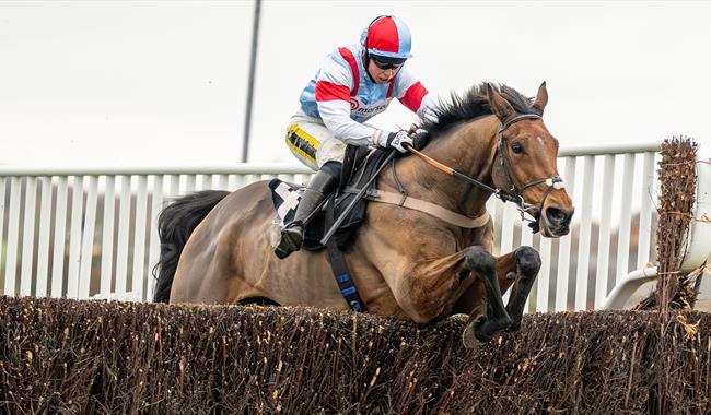 Racehorse jumping fence at Plumpton