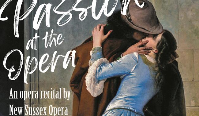Passion at the Opera