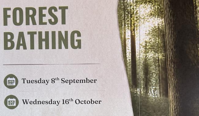Forest scene with event details
