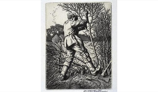 Illustration of a man laying hedges