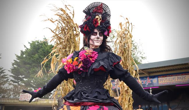The Sugar Skull Witch at Drusillas