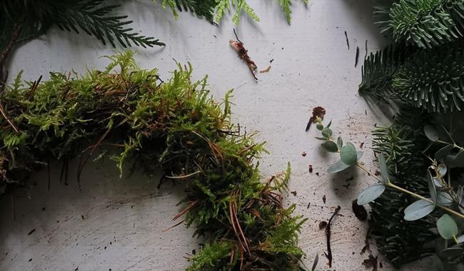 Materials ready for wreath making