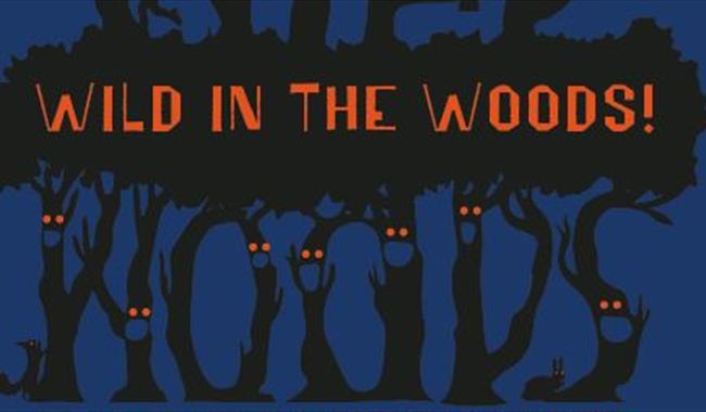 Wild in the Woods poster