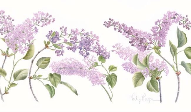 Botanical blossom painting by Vicky Mappin