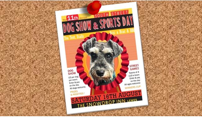 pinboard with a poster image of a dog and the show details
