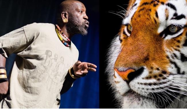 Storyteller Tuup and a tiger