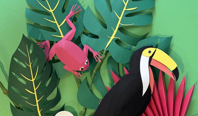 Tropical picture of toucan and tree frog