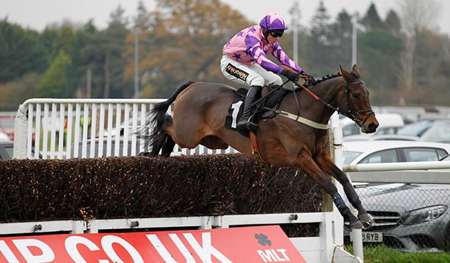 Plumpton races - horse jumping fence