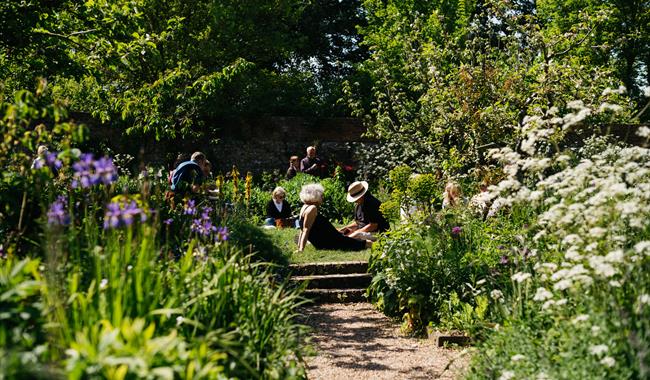 People enjoying the Charleston gardens in the sunshine