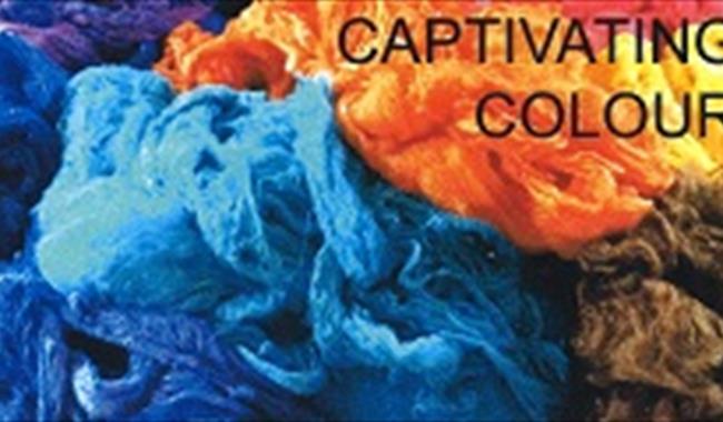 Captivating Colour