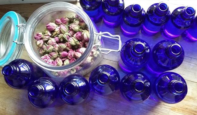 Rose buds and bottles