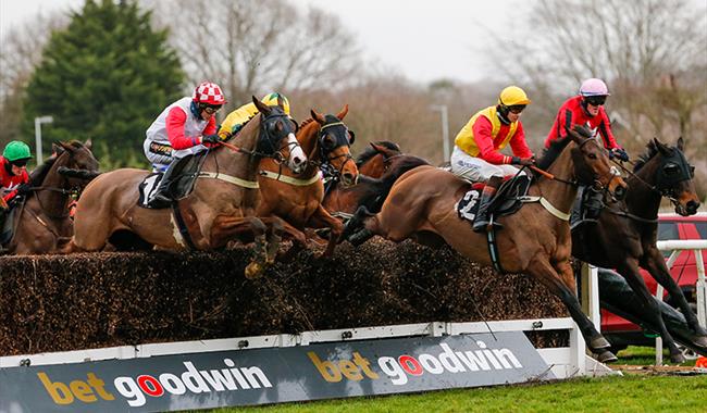 Racehorses clearing steeplechase fence at Plumpton