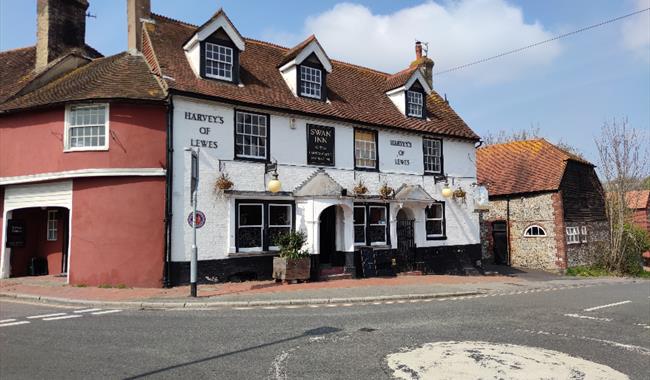 The Swan