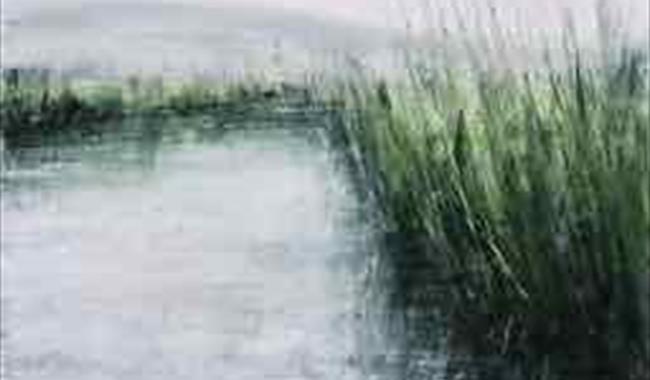OPEN STUDIO, NEW PAINTINGS BY SUSIE MONNINGTON