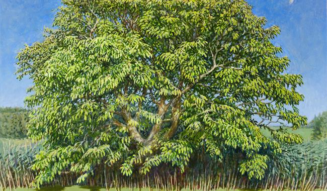 Plain: New Paintings by Julian Bell