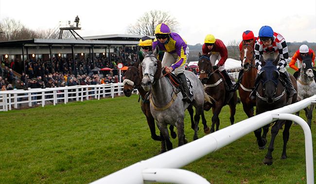 Race horses galloping up the track