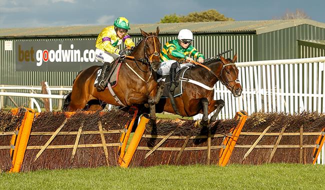 Jump Season Preview Raceday at Plumpton - horse jumping hurdle