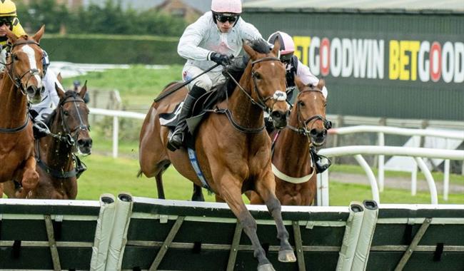 Racehorses jumping a hurdle