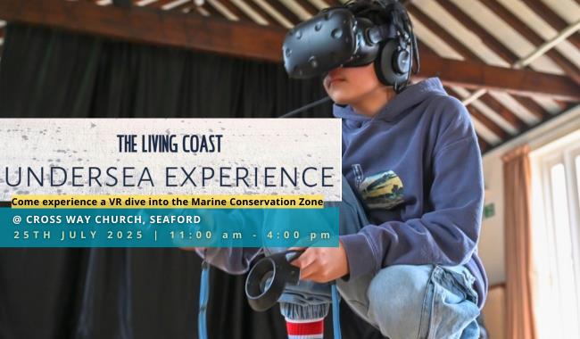Enjoying the Living Coast Undersea Experience