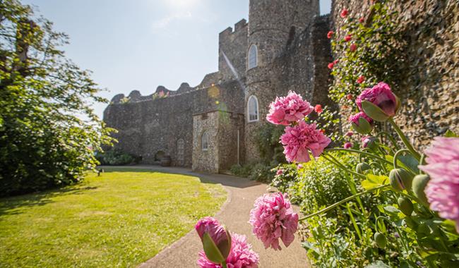 Lewes Castle garden