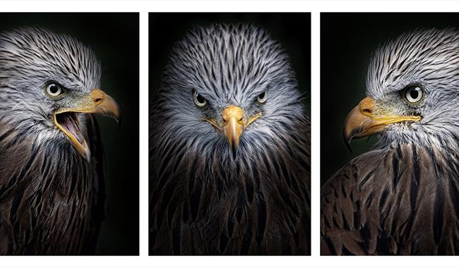 Seaford Photographic Society's Annual Exhibition