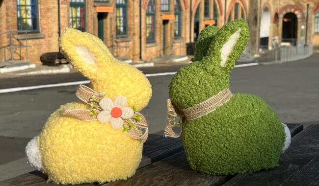 Easter bunnies at Newhaven Fort
