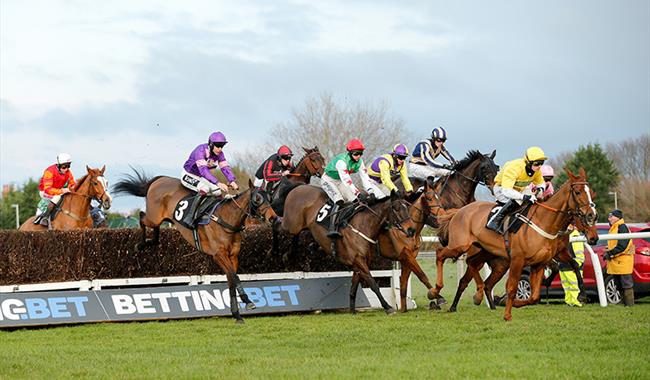 Sussex National Raceday