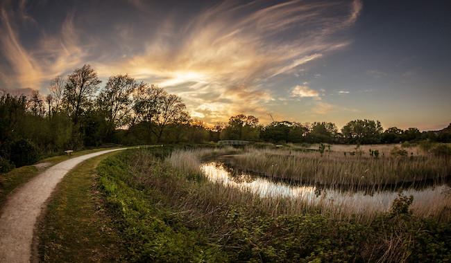 Railway Land Nature Reserve