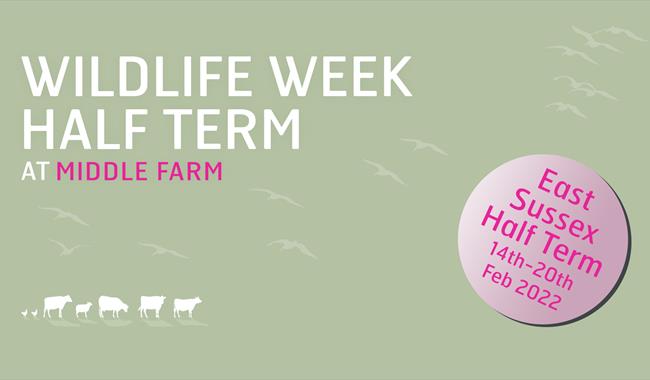 Wildlife Week (East Sussex Half Term)