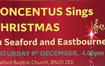 poster for festive concert