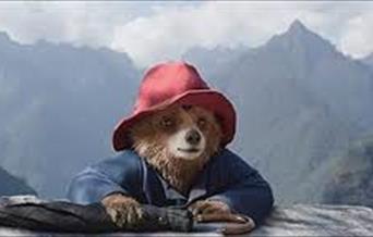Paddington Bear in the mountains of Peru