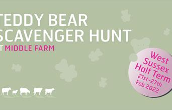 Teddy Bear Scavenger Hunt (West Sussex Half Term)
