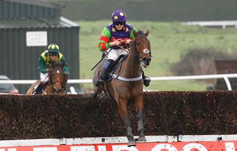January Jumps Raceday
