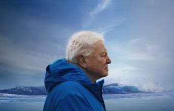 Sir David Attenborough in profile against an Arctic sky