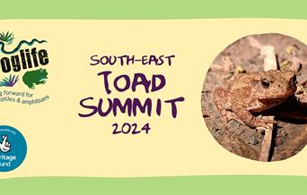 Photograph of a toad with details of event