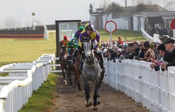Horses going down to the racecourse