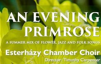 An Evening Primrose concert