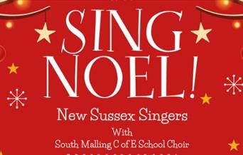 Festive red poster with snowflakes