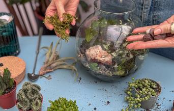 Terrarium workshop in progress