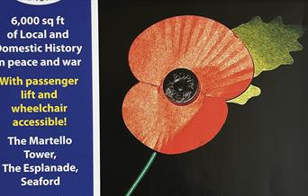 Poppy on museum poster