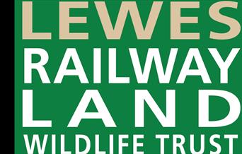 Lewes Railway Land poster