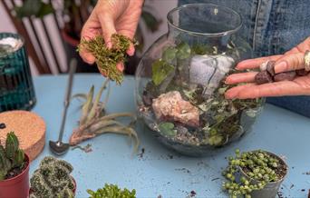 Photograph of gardener creating a terrarium