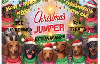 Sausage dogs in Christmas jumpers!