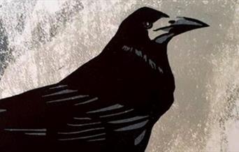 rook image