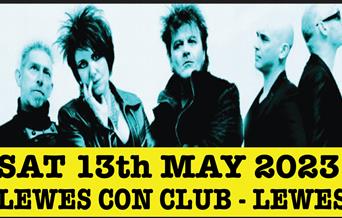 The Rezillos band members